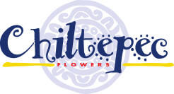 flores de chiltepec