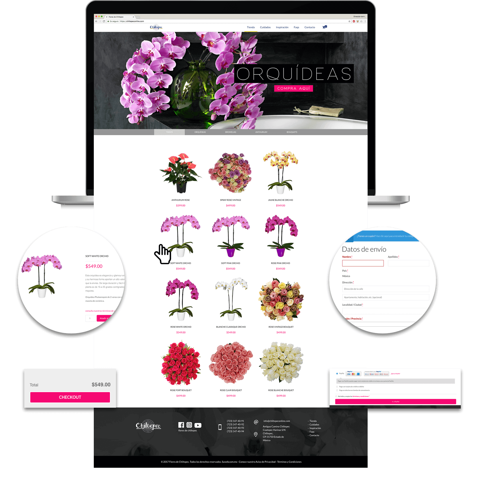 mockup flores de chiltepec