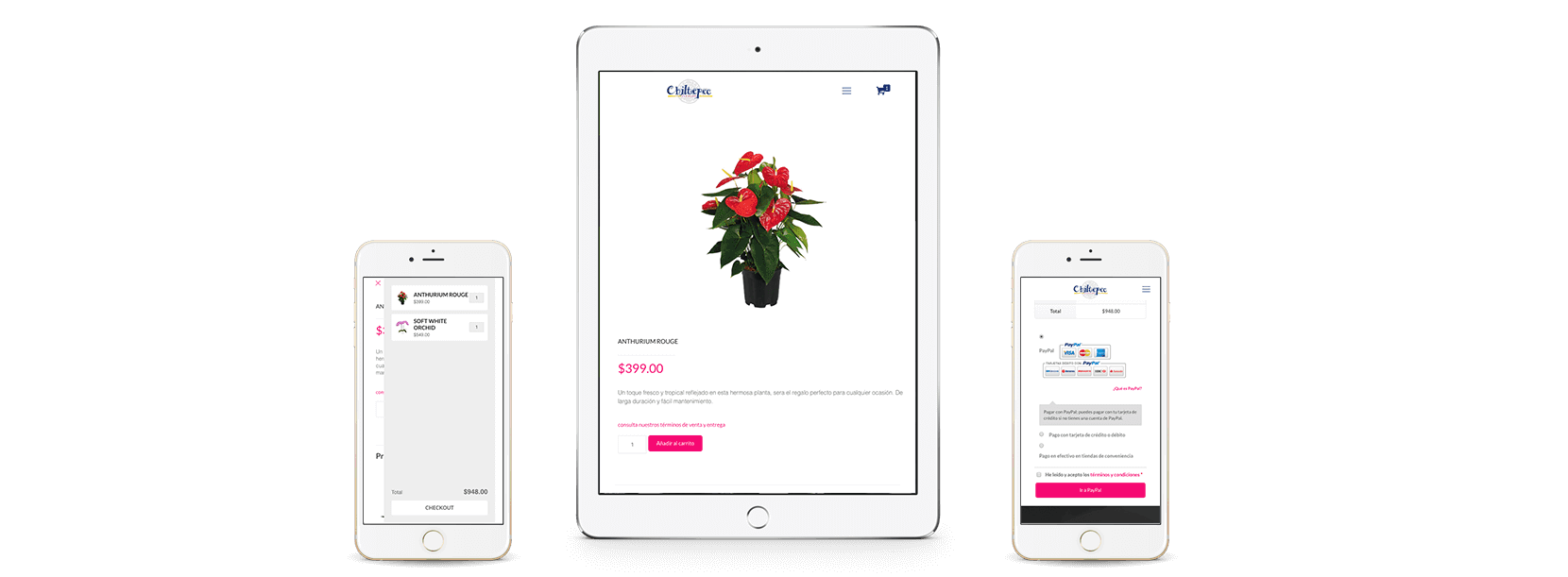 mockup flores de chiltepec